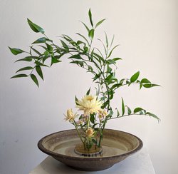 Ikebana - the forgotten art of flower arranging