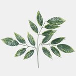 Green/Lt. Green (F152-01)