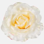 Lt. Yellow/Pink Edge (W544-16)