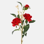 Red (L789P-07)