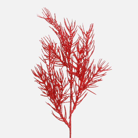 Yew with glitter