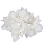 Cream (W707-02)