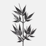 Gray (S671-03)