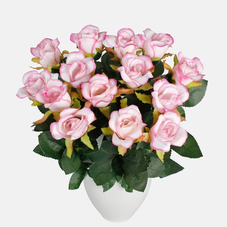 Rose x 14