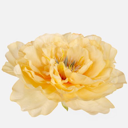 Peony