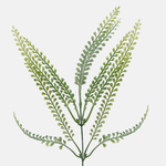 Green (A308)