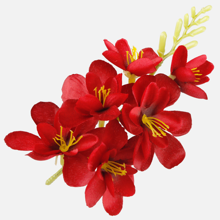 Satin freesia