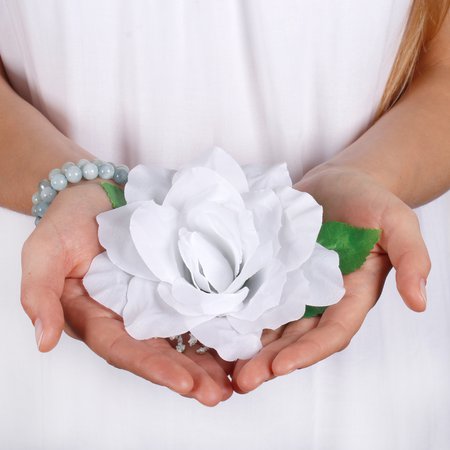 Rose with leaves