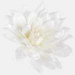 Cream (W537-03)