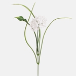 White (A395K-05)