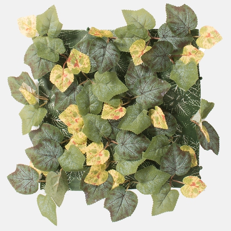 Plant panel 25 x 25 cm