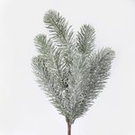 S769C