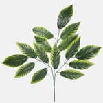 Green/Lt. Green Edge (F196-01)
