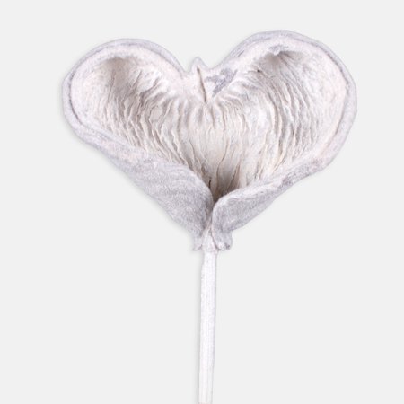 Badam flocked x 6 pcs