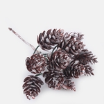 Frosted Brown (AN248S-01)