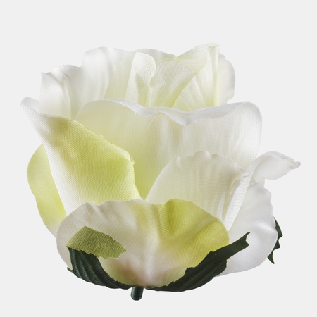 Rose bud