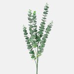 Green (F125-01)