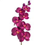Burgundy (L130S-02)