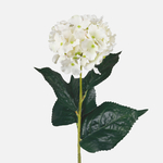 White (L747-01)
