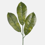 Green (A160-02)