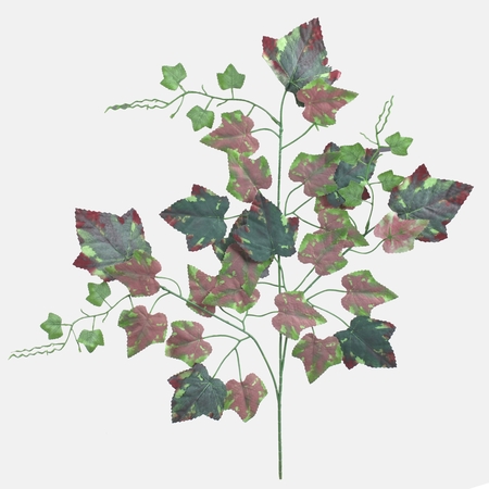 Grapevine spray