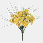 T.T. Yellow (Q987-01)