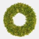 Green (UA023B)