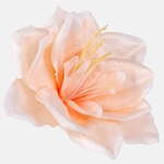 Lt. Peach (W613-20)