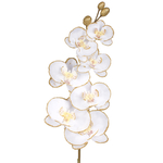 Cream (L130S-01)