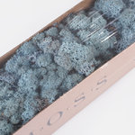 Blue (A437-20)