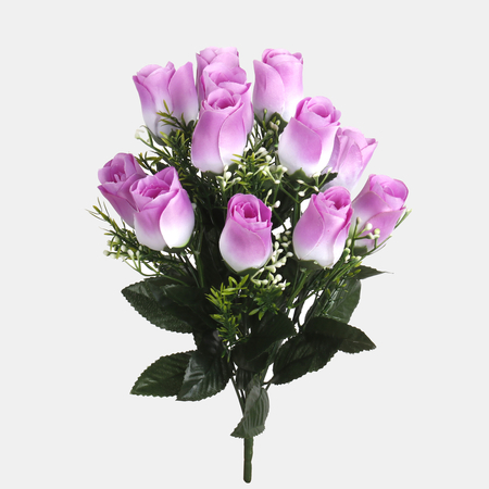 Rose in bud x 12