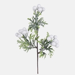 White (A855S-01)