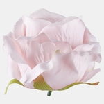 Lt. Pink (W697-18)