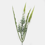 White/Green (A499K-05)