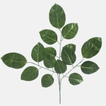 Green (F167-01)