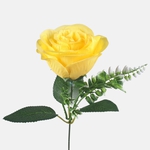 Yellow (G440-05)