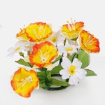 Yellow/Orange/White (U036E-01)