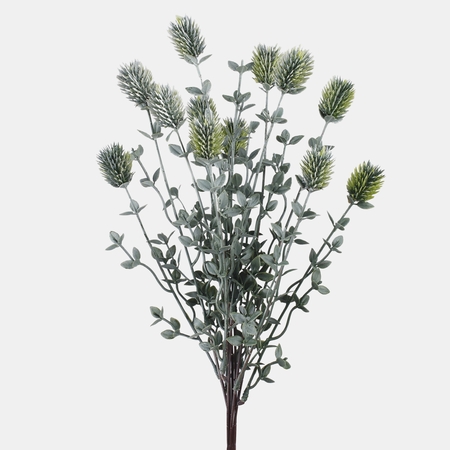 Thistle with blueberry leaf