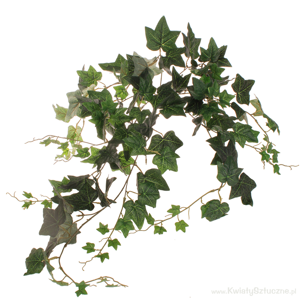 English B034 Artificial creepers