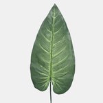 Green (A192)