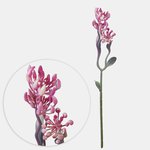 T.T. Pink (G389-01)