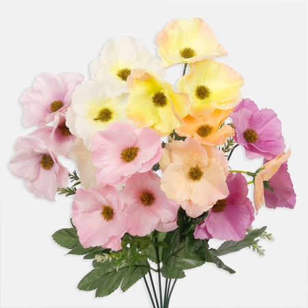 Anemone