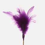 Violet (SD002K-01)