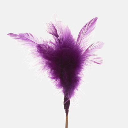 Feathers on a stick