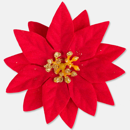 Velvet poinsettia