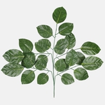 Green (F184-01)