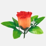 Orange/Dk. Orange Edge (W484-59)