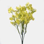 Lt. Yellow (A746-06)