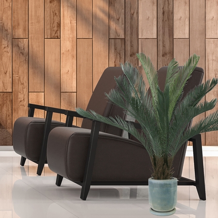 Cycas palm 0,9 m
