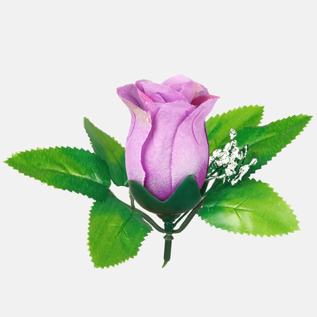 Rose in bud with leaves